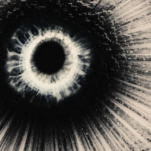 Alone (in The Void)
