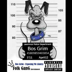 Bos Grim - Exposing Me (Gmix)