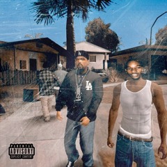 IS IT FUNKY FREESTYLE