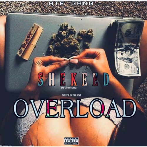 shekeed-Overload