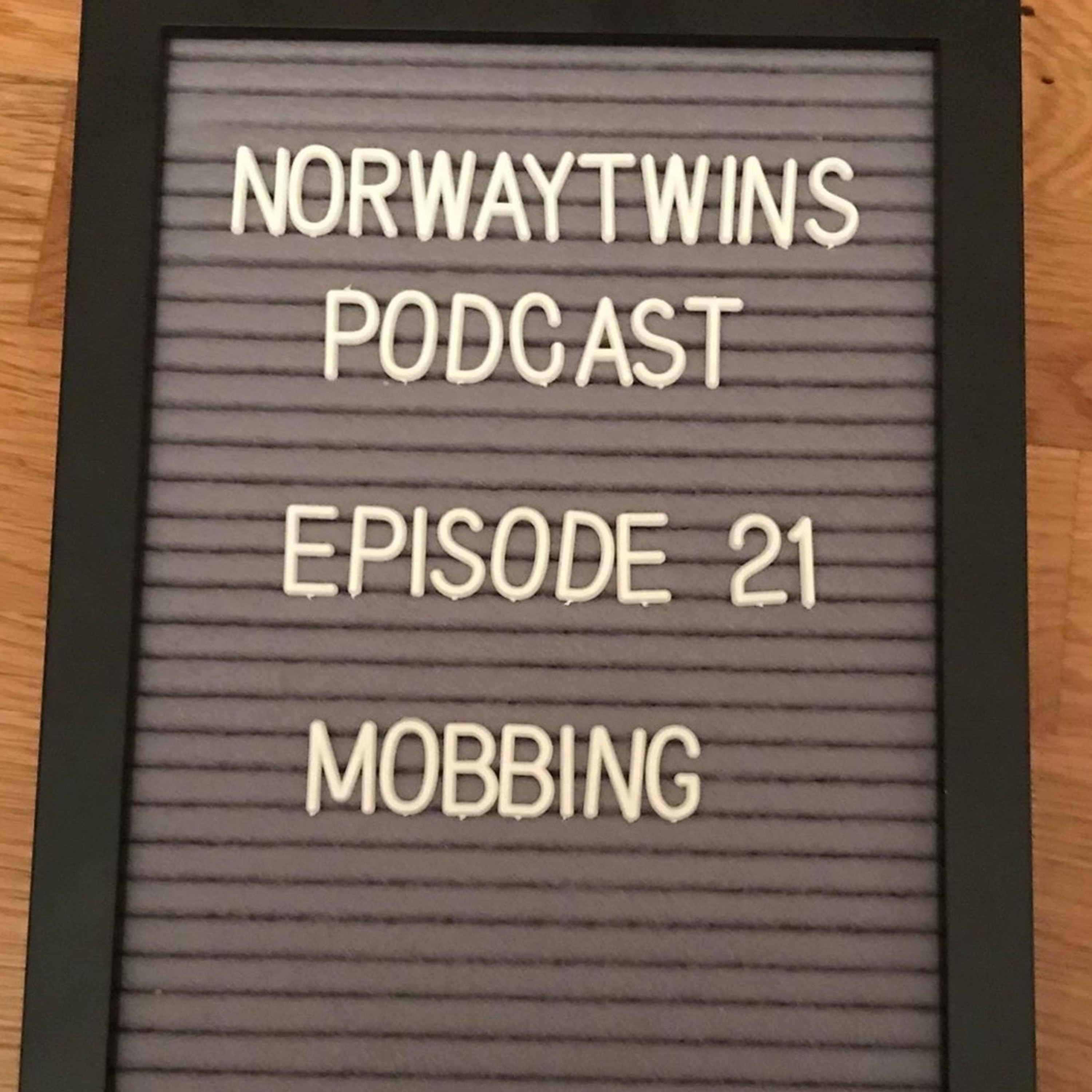 Norwaytwins om ting og tang