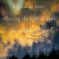Boson Spin - Ripples on water [naviarhaiku279]