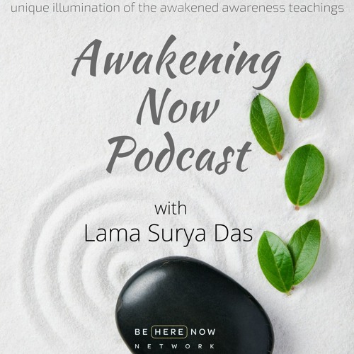 Lama Surya Das – Awakening Now – Ep. 77 – Seeing as It Is, Leaving as It Is
