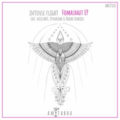 03 Intense Flight - Fomalhaut (Dynacom & Bodai Ambient Mix) [AMIT008] AMITABHA