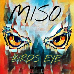 MISO - Birds Eye