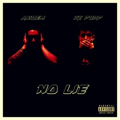 No Lie feat. Anidem