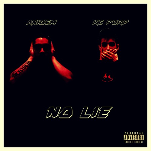 No Lie feat. Anidem