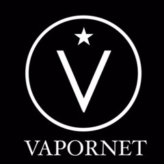 VAPORNET - Twi Life feat. Synthea