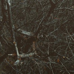 Crywolf- Wake【REMIX】