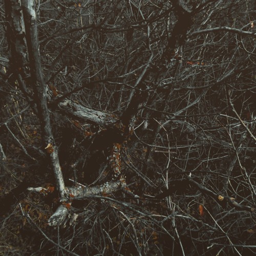 Crywolf- Wake【REMIX】