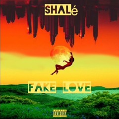 Fake Love - Shalé