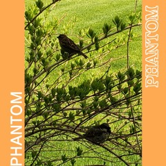 PHANTOM