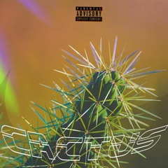 Cactus (feat. fireboy1251)