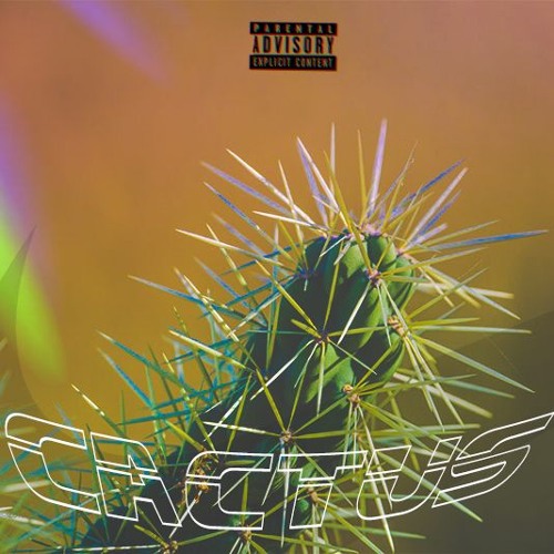 Cactus (feat. fireboy1251)