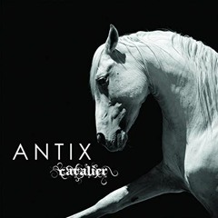 Antix - Under The Shade (Thankyou City & Continuum Remix)