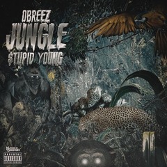 Obreez X $tupid Young (Jungle)
