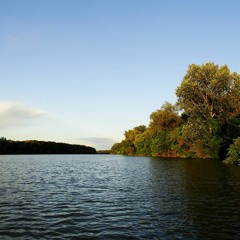 Csend 11/2008
