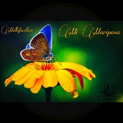 Multifacetico - Mi Mariposa