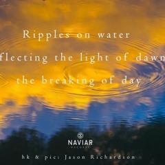 dawn light echoes - naviarhaiku279