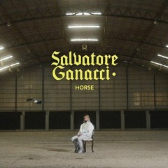 [FREE RELEASE] Salvatore Ganacci - Horse (BCM Power Edit)