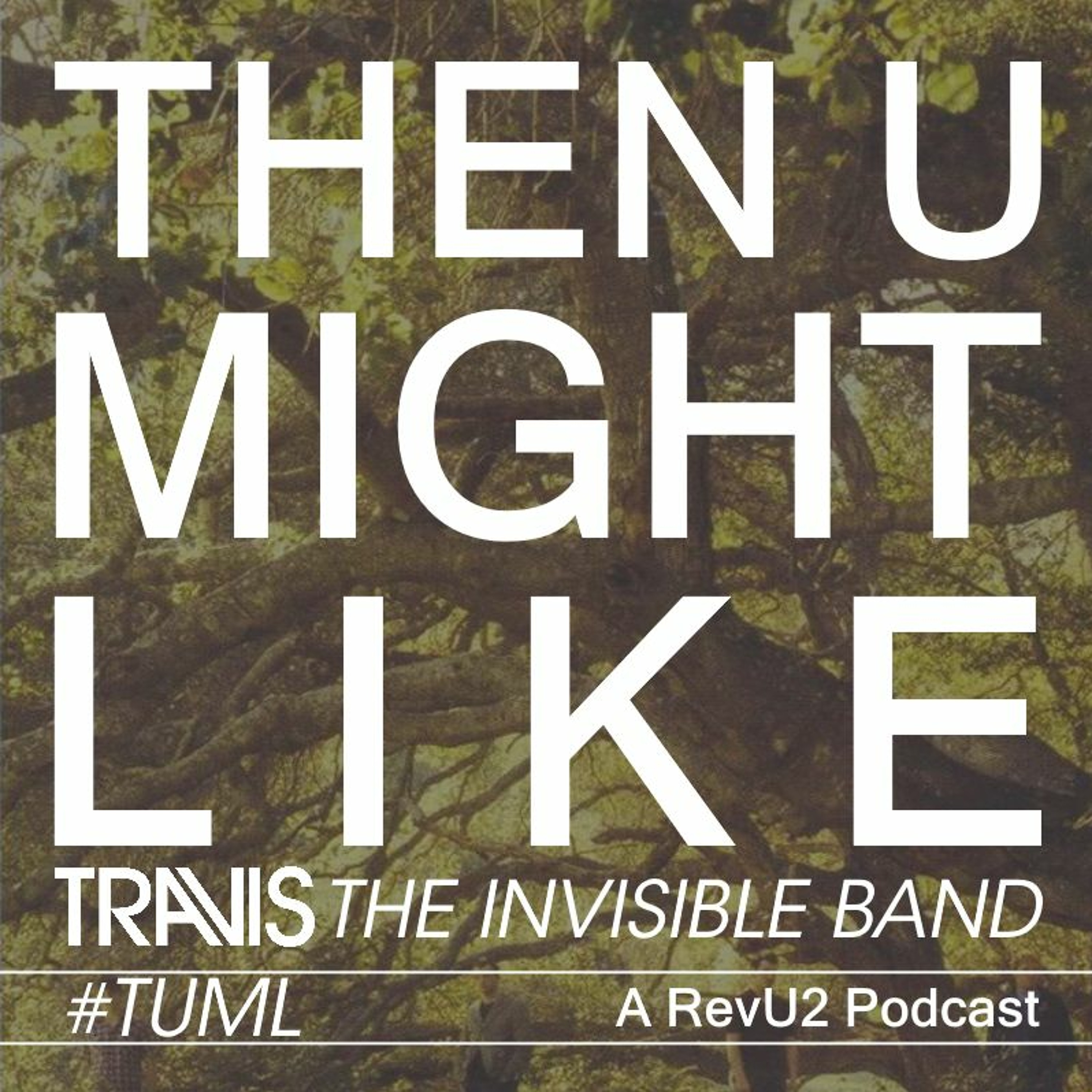 The U2 Podcast