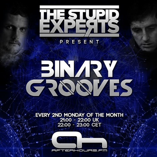 The Stupid Experts - Binary Grooves  - 015