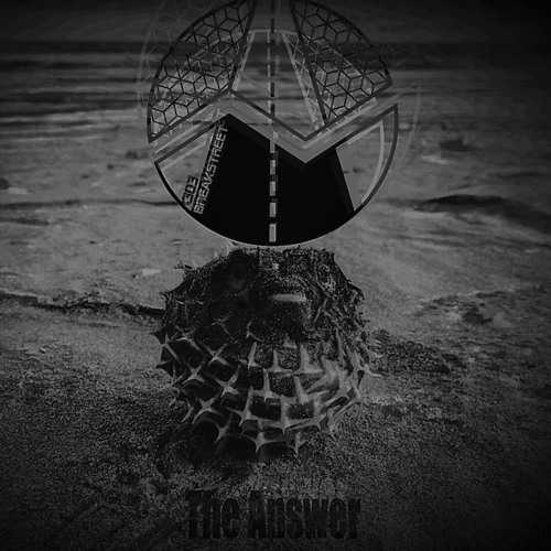 Blazin' Bomzai & Exit:World - The Answer