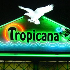 Tropicana 20081998