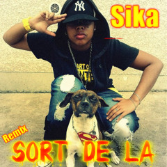 #Sika Rlion  sort de la Remix (Séb423)  ...® 🇷🇪