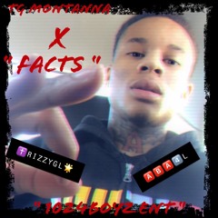 TG MONTANA X FACTS