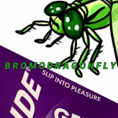 HomoDragonFly