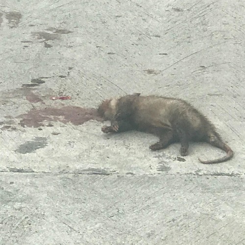 Hate. (Prod. blackout.)