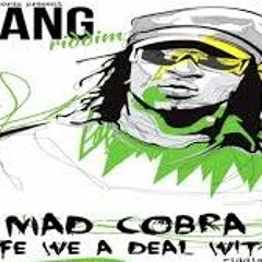 Mad Cobra - life we a deal wid ( Jinx Remix) FREE DOWNLOAD