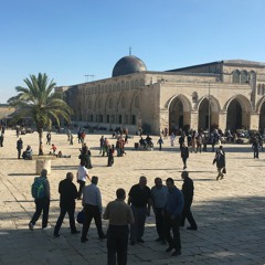 أحبكِ رغم الذي يفعلون | بصوت حمزة دنديس | 5 رمضان/ 1440 هـ