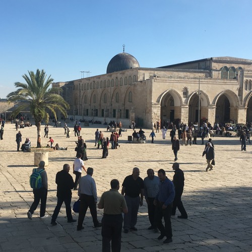 أحبكِ رغم الذي يفعلون | بصوت حمزة دنديس | 5 رمضان/ 1440 هـ