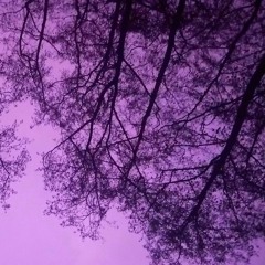 it doesn't really matter, it will all work out (wip1)