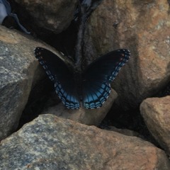 Dawn To Dusk /prod. owa/