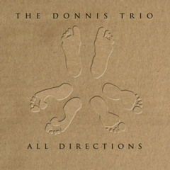 The Donnis Trio - Tip of the Tongue