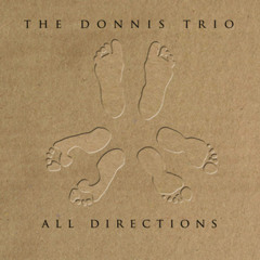 The Donnis Trio - Carry On