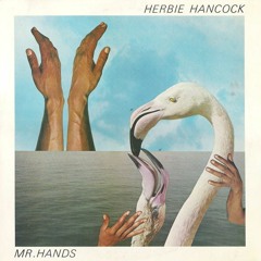 Herbie Hancock - Spiraling Prism (1980)
