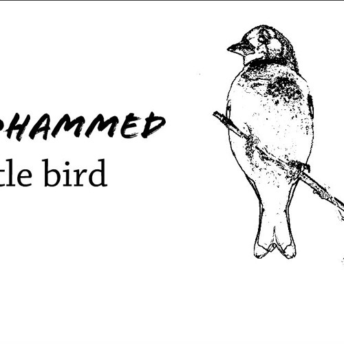 DJ Mohammed - The little bird