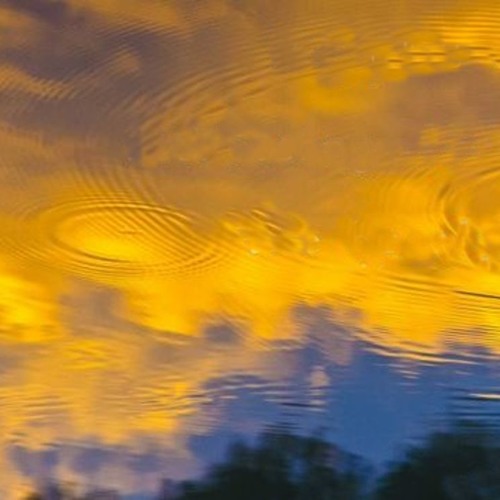 Ripples (NaviarHaiku 279)