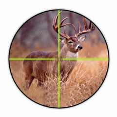 Deer SZN Ft. Yatain & AM I A RAPPER NOW