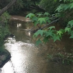 Shade (prod.by Booku) Ft.Alman@c and headbandNOCAPP