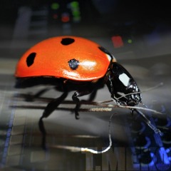 TMeko - Czarownice do przodu!