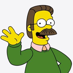 I Got Standards / Diamond Ned Flanders