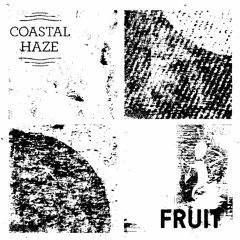 Coastal Cast ~ Fruit