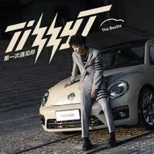 第一次遇见你 Tizzy T