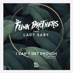 The Funk Brothers - I Can't Get Enough Feat. Lady Saby (Original Mix)