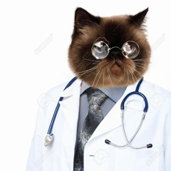 Steknoscope (Camille) - Sııwe23™ [KoprodRecord]